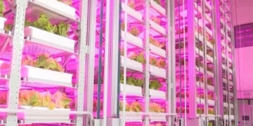 china builds worlds highest automated farm managed by ai 131401
