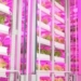 china builds worlds highest automated farm managed by ai 131401