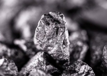 china introduces a type of luminous moss never seen before 130366