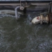 chinese scientists turn seawater into drinking water 130698