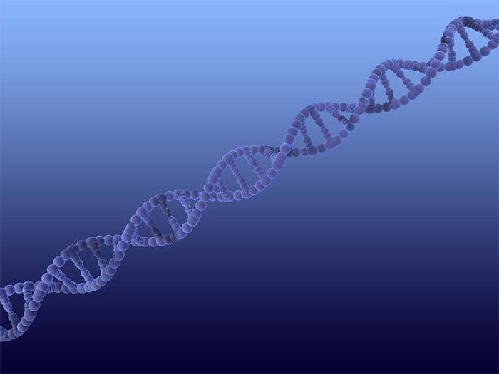Researchers have announced the first complete sequence of the human Y chromosome.
