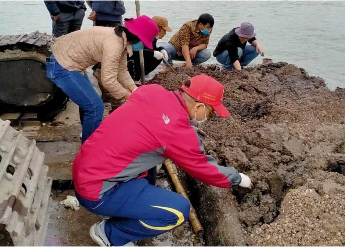Survey at Hen 1 quarry, Tam Chuc lake bed.
