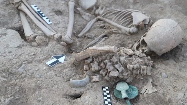 The grave containing the remains of a teenage girl and numerous animal skeletons.