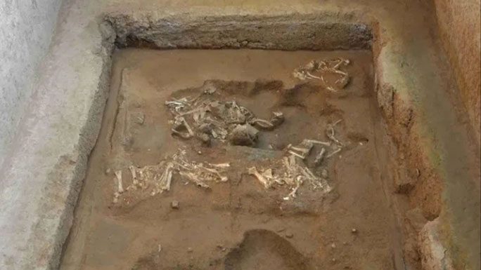 Remains of the sheep-pulled chariot in the "Western Tomb" of the Qin Shi Huang mausoleum complex