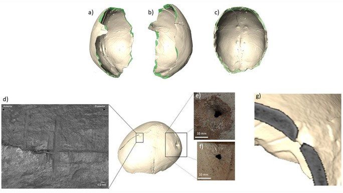 Skull Cup Found in a Cave in Spain