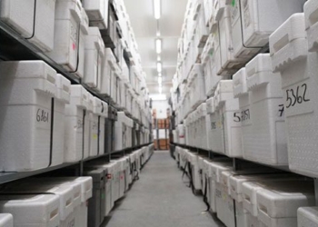cold storage library storing over 40 000 units 131086
