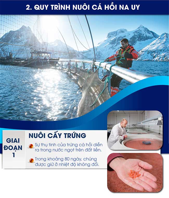 cong nghe nuoi ca hoi na uy 2