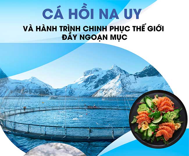 Discover the advanced salmon farming technology in Norway
