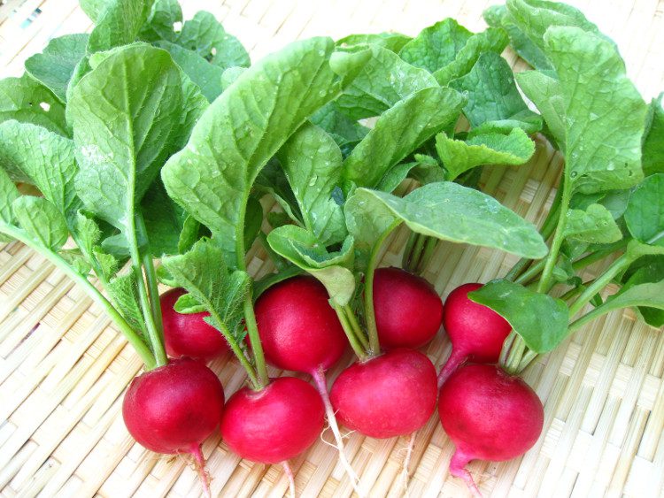 Beets