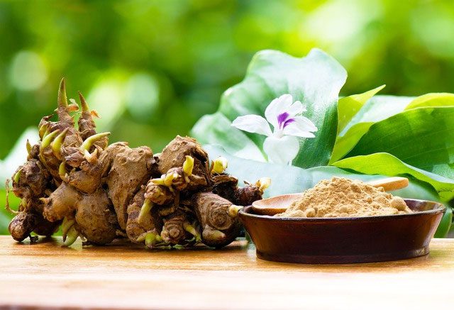 Fingerroot has properties that prevent cancer cells.