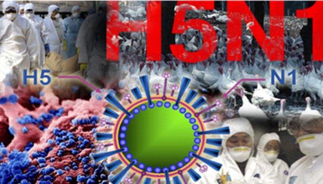 When infected with Influenza A (H5N1), patients often feel headaches and body aches...