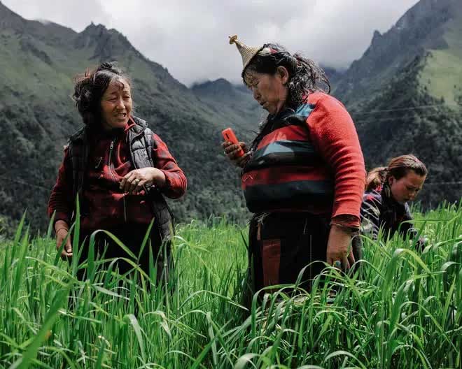 Two farmers taking a break from their work in the rice field to make a phone call.
