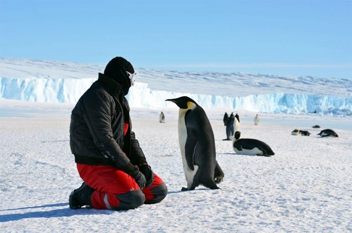 Antarctica is a paradise for nature lovers