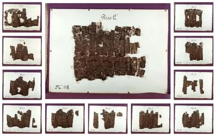 12 brown fragments of the opened ancient scroll known as P.Herc.118.