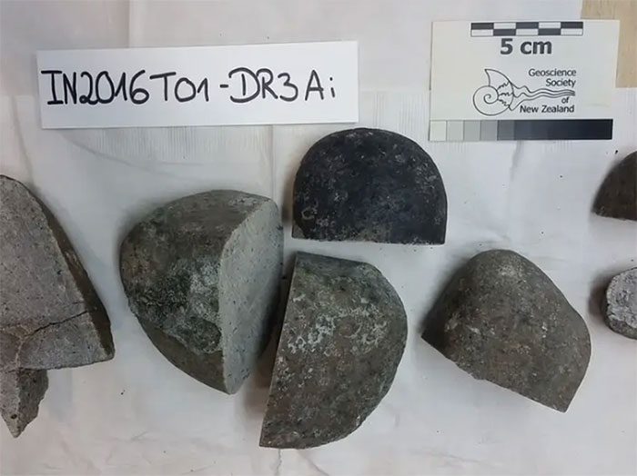 Granite samples from North Zealandia.