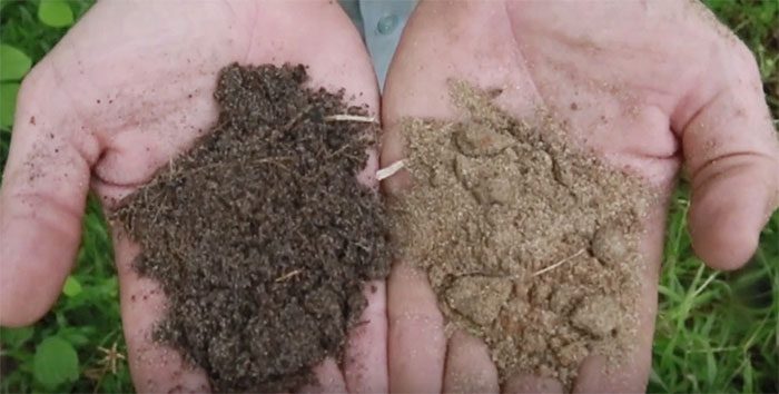 Dark earth is darker compared to regular soil.