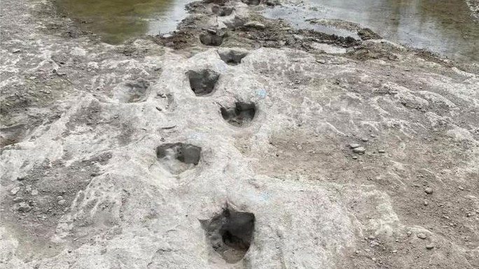 The terrifying three-toed footprints of the Acrocanthosaurus dinosaur