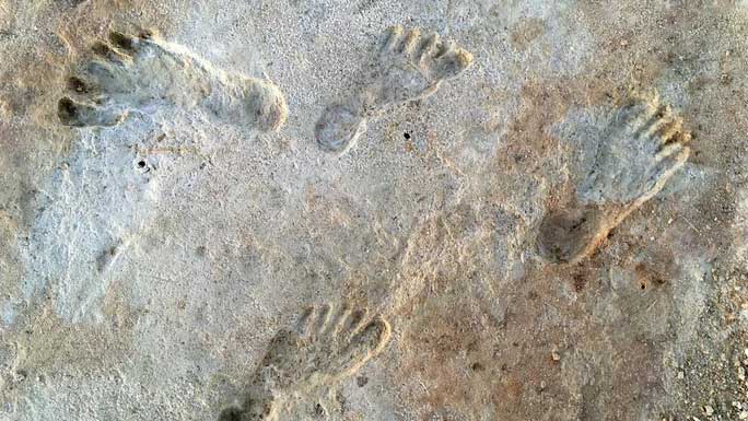 Ancient footprints at White Sands National Park