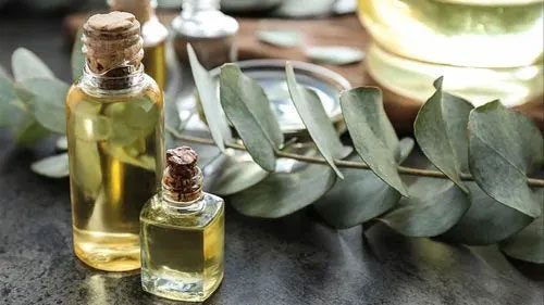 Eucalyptus oil has long been added to insect repellent formulations.