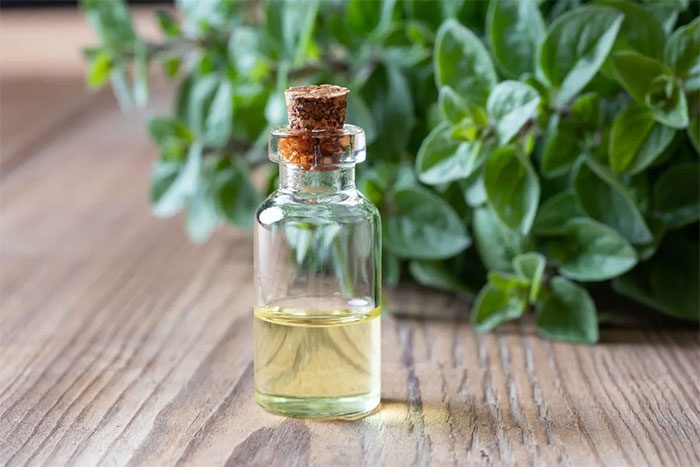 Both oregano oil and oregano essential oil have been shown to possess anti-inflammatory properties.