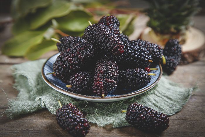 Mulberries