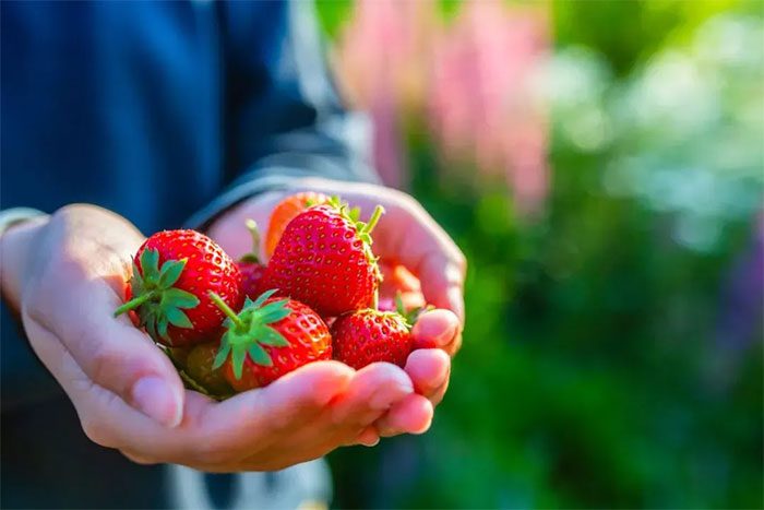 Strawberries