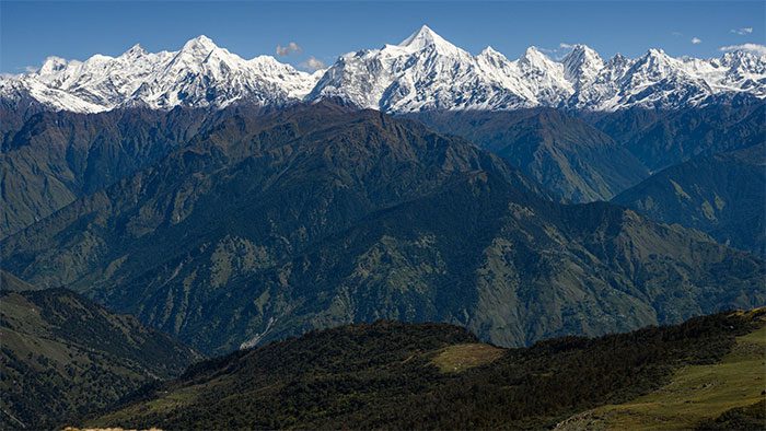 The Himalayas, home of Takakia