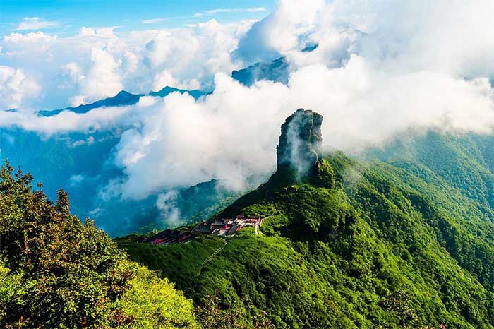 On the Hoàng Liên Sơn mountain range, there is a very special fish known as the Bitter Fish.