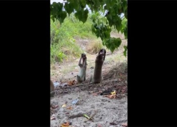 death at the end when stealing beer then sitting drinking together 129840