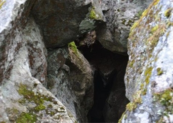 decoding the mysterious wood sound in the finnish cave 131277