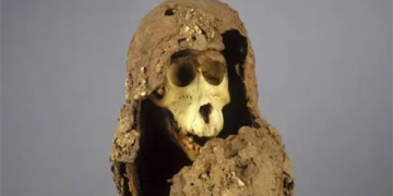 decoding the mystery of 118 years of mummification when placed in 130954