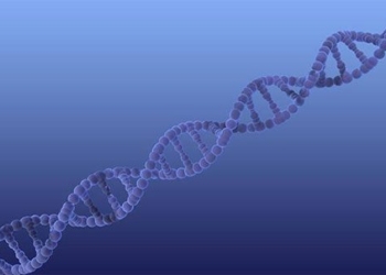 decoding the mystery of sexual orientation in determining male gender 129579