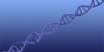 decoding the mystery of sexual orientation in determining male gender 129579