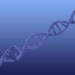 decoding the mystery of sexual orientation in determining male gender 129579