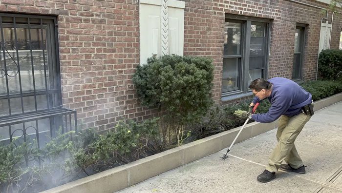 The smoke released is harmless to humans and pets.
