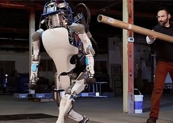 discover new revelations of the amazing ability of living robots 130709