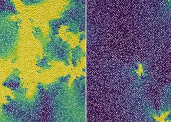 discovering a new state of matter uncertainty between a snake and fur 129472