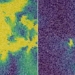 discovering a new state of matter uncertainty between a snake and fur 129472