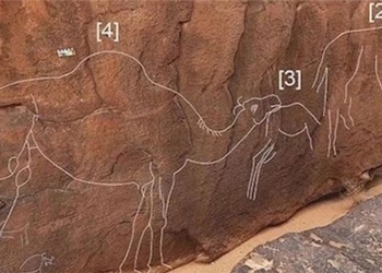 discovering hidden rock carvings on stone 130170