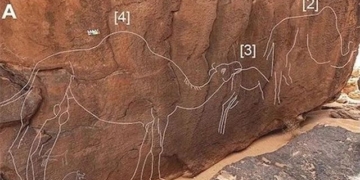 discovering hidden rock carvings on stone 130170