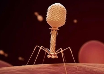 discovery cancer cells in people eating virus sanitizer 130712