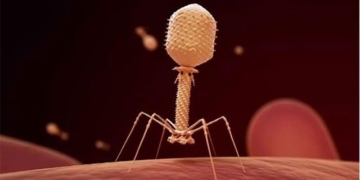 discovery cancer cells in people eating virus sanitizer 130712