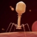 discovery cancer cells in people eating virus sanitizer 130712