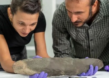 discovery of 200 000 year old artifact of giant human 131255