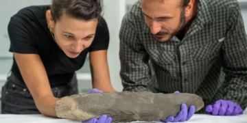 discovery of 200 000 year old artifact of giant human 131255