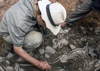 discovery of 3 000 year old tomb on northern peru highlands 129500