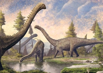 discovery of 6m legendary dragon monster in china 130980