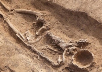 discovery of a thousand year old female ghost hair in the chong canh area 131305