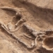 discovery of a thousand year old female ghost hair in the chong canh area 131305