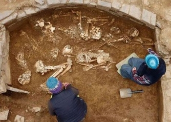 discovery of ancient human skeleton in 5 000 year old tomb in scotland 131282